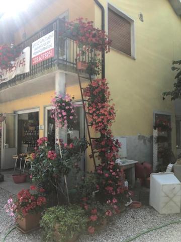 Agriresidence San Pietro Bibione Buitenkant foto